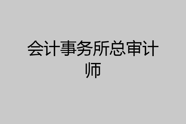 会计事务所总审计师