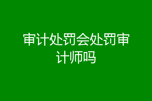 审计处罚会处罚审计师吗