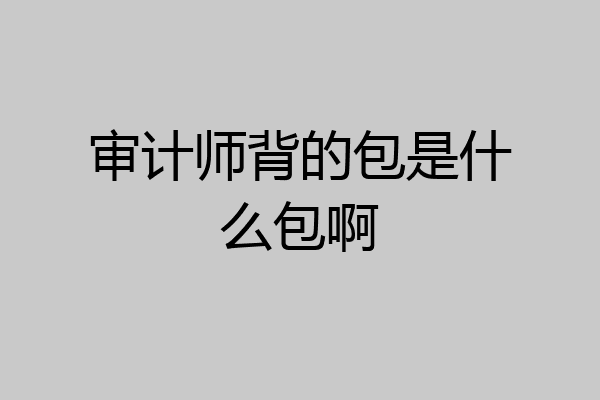 审计师背的包是什么包啊
