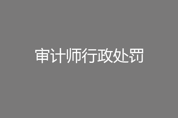 审计师行政处罚