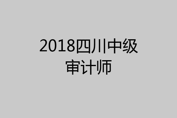 2018四川中级审计师
