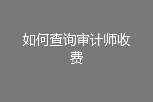 如何查询审计师收费