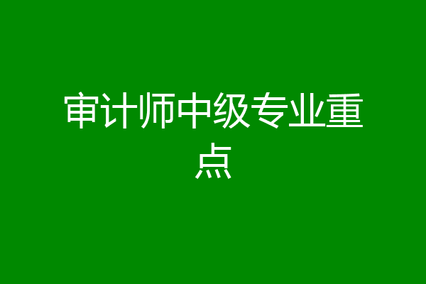 审计师中级专业重点