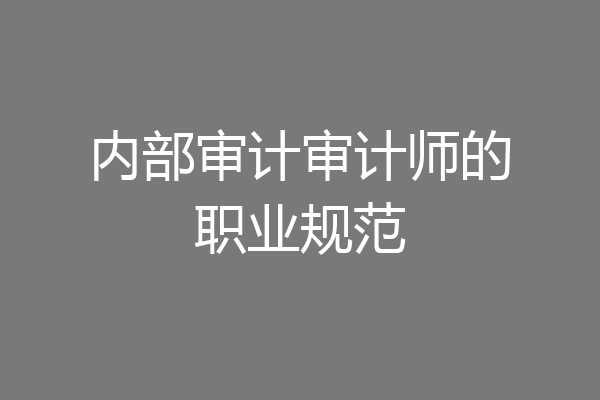 内部审计审计师的职业规范