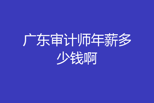 广东审计师年薪多少钱啊