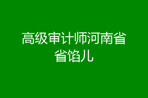 高级审计师河南省省馅儿