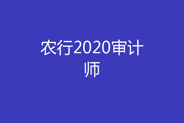 农行2020审计师