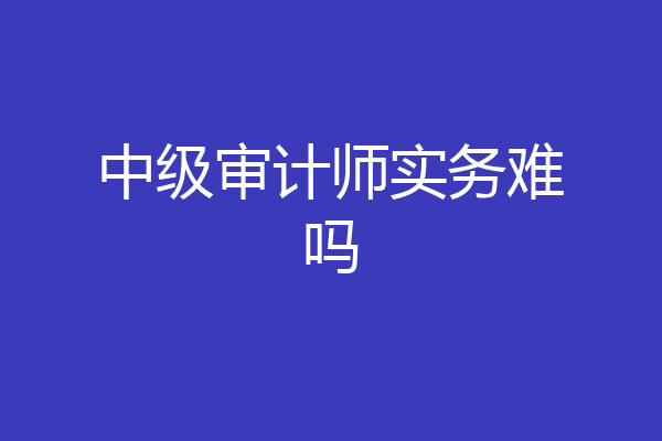 中级审计师实务难吗