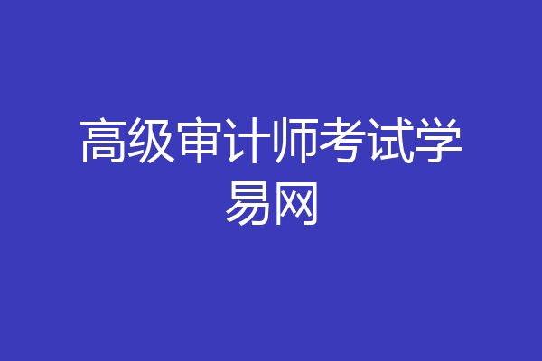 高级审计师考试学易网