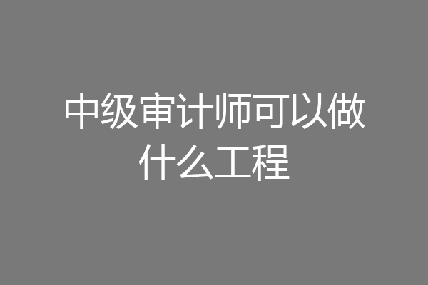 中级审计师可以做什么工程