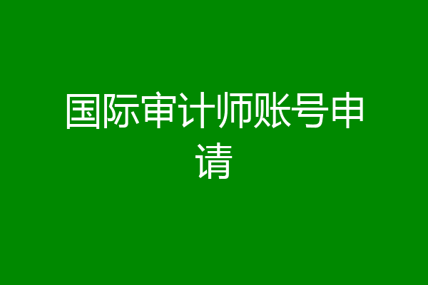 国际审计师账号申请