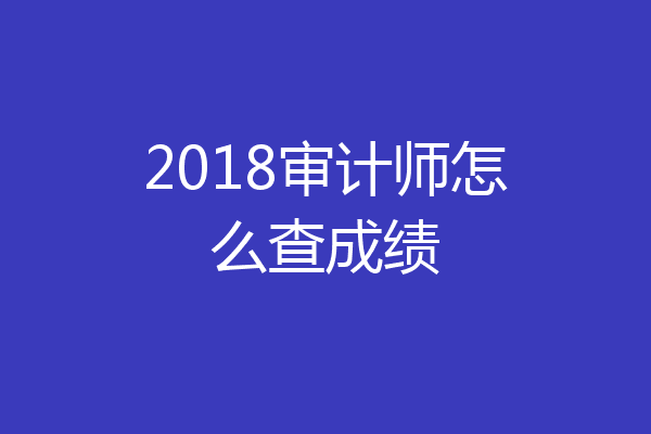2018审计师怎么查成绩