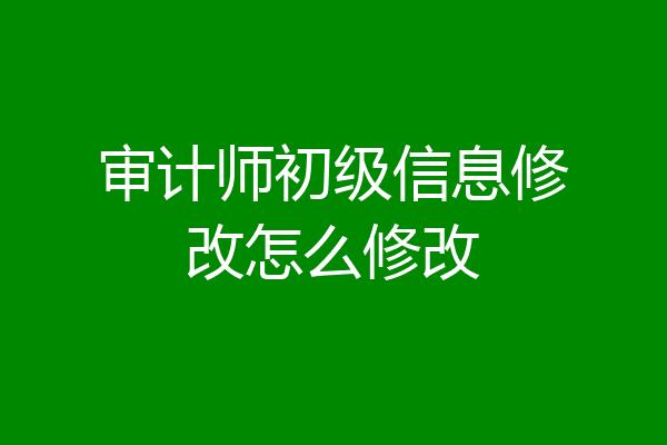 审计师初级信息修改怎么修改