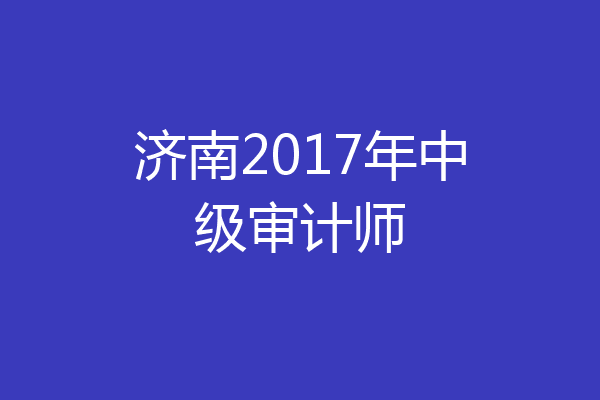 济南2017年中级审计师