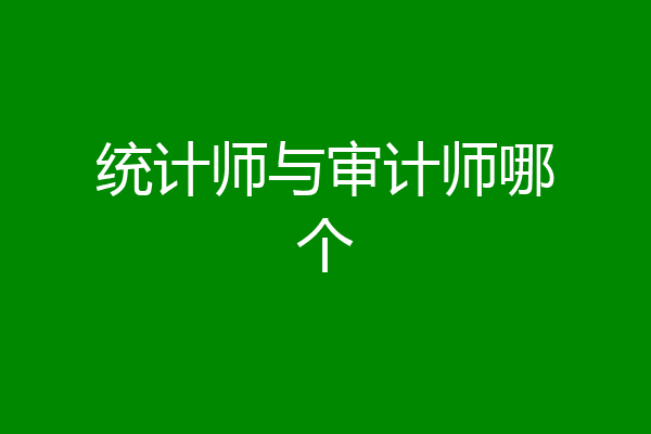 统计师与审计师哪个