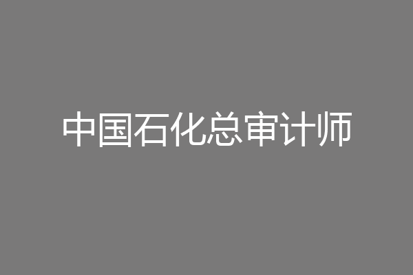 中国石化总审计师