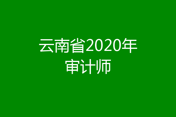 云南省2020年审计师