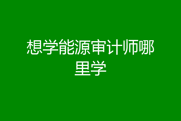 想学能源审计师哪里学