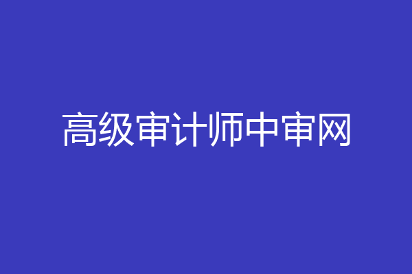 高级审计师中审网