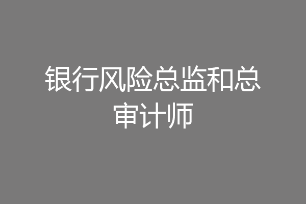 银行风险总监和总审计师
