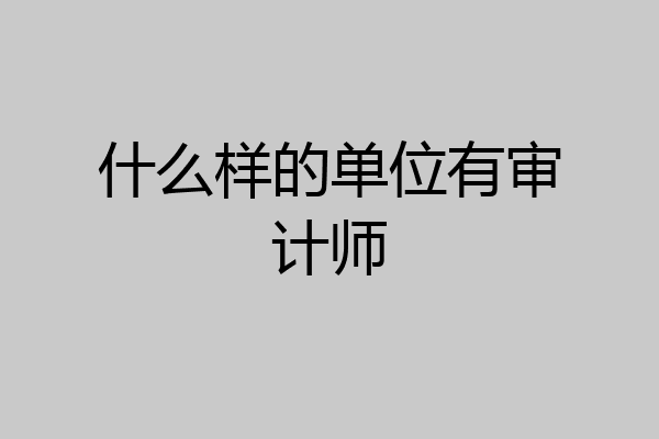 什么样的单位有审计师