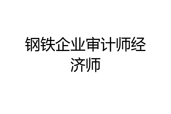 钢铁企业审计师经济师