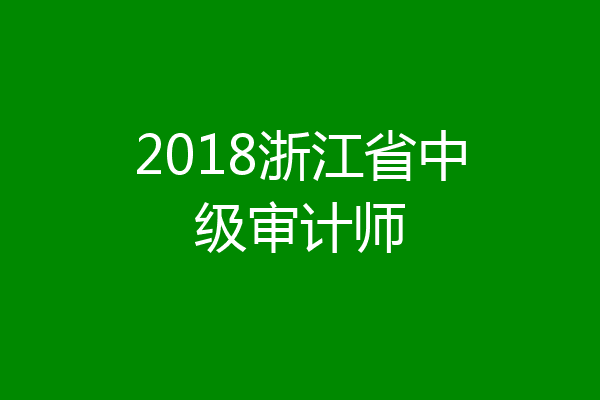 2018浙江省中级审计师
