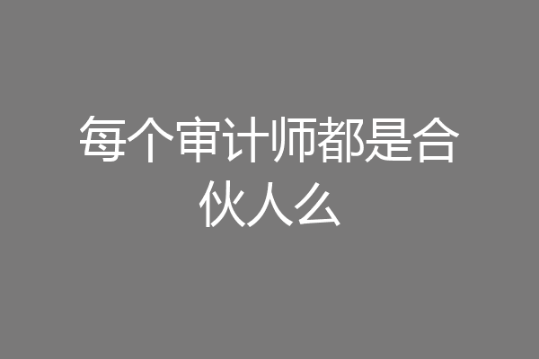 每个审计师都是合伙人么