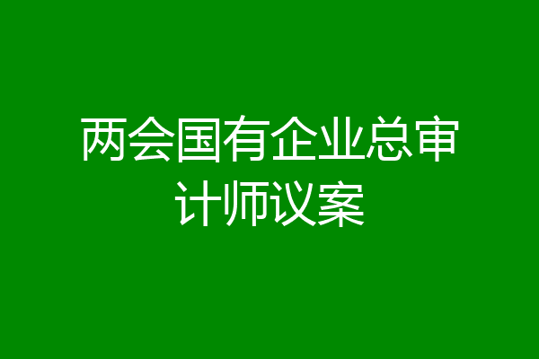 两会国有企业总审计师议案