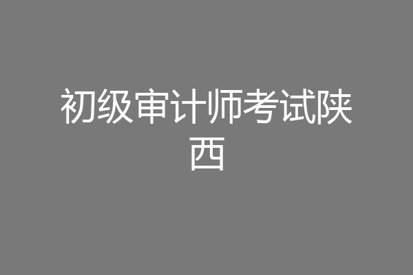 初级审计师考试陕西