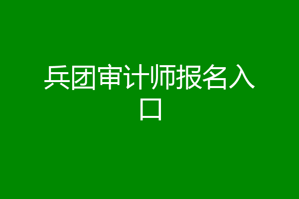 兵团审计师报名入口