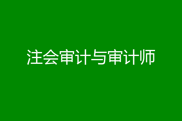 注会审计与审计师