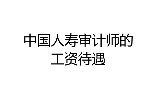 中国人寿审计师的工资待遇