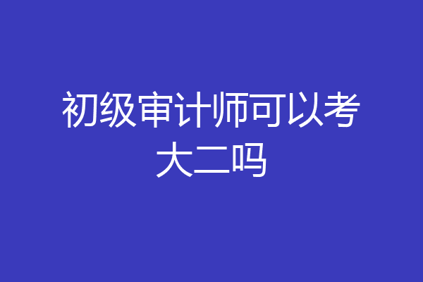 初级审计师可以考大二吗