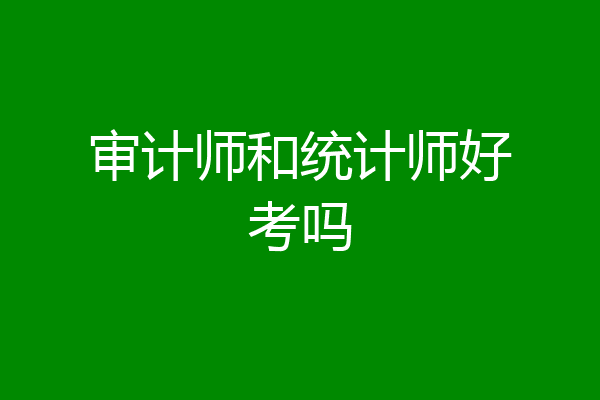 审计师和统计师好考吗