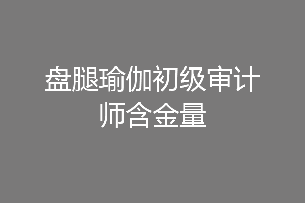 盘腿瑜伽初级审计师含金量