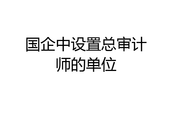 国企中设置总审计师的单位