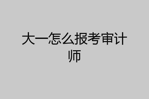 大一怎么报考审计师