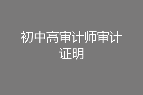 初中高审计师审计证明