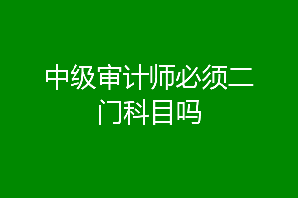 中级审计师必须二门科目吗