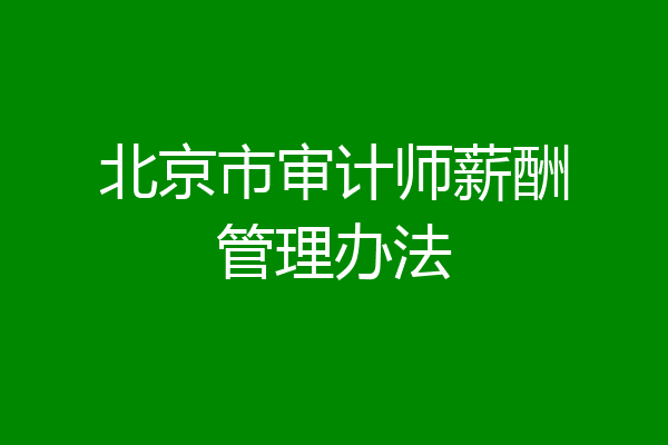 北京市审计师薪酬管理办法