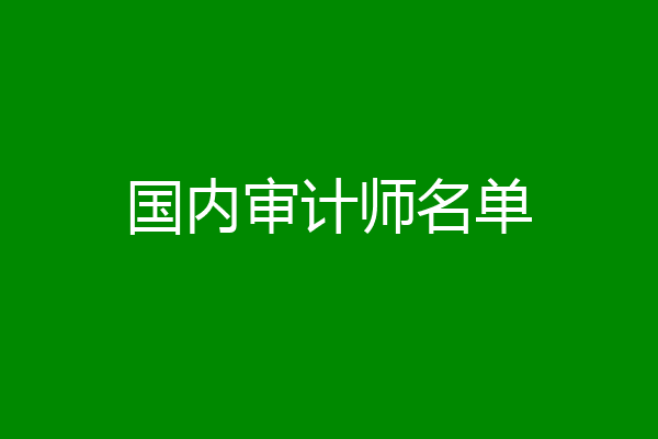 国内审计师名单