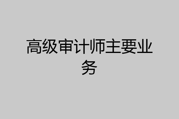 高级审计师主要业务