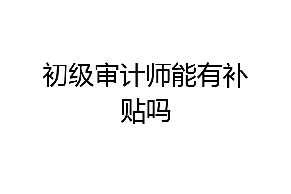 初级审计师能有补贴吗