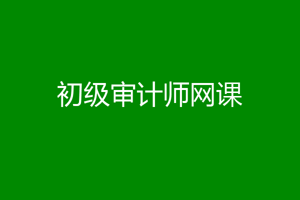 初级审计师网课