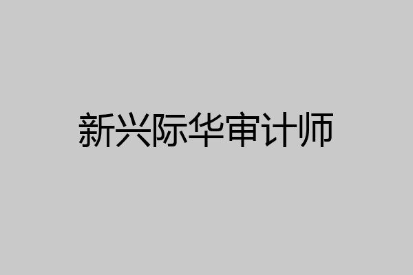 新兴际华审计师