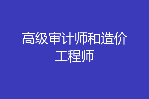 高级审计师和造价工程师