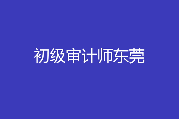 初级审计师东莞