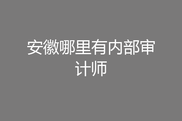 安徽哪里有内部审计师