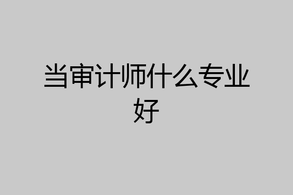 当审计师什么专业好